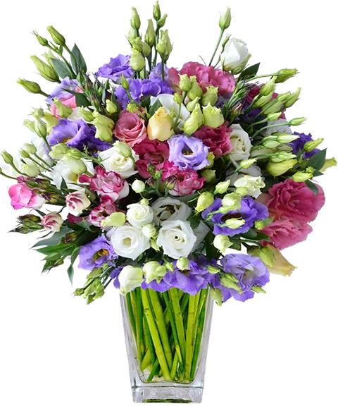 Bouquet di