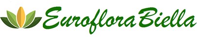 homepage EUROFLORA snc 